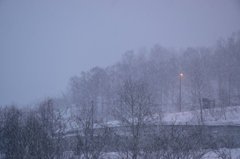 雪の降っている感。