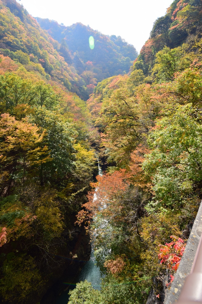 吾妻渓谷の紅葉 その2