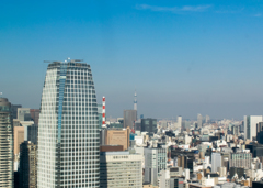 東京タワーから望むスカイツリー。