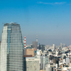 東京タワーから望むスカイツリー。