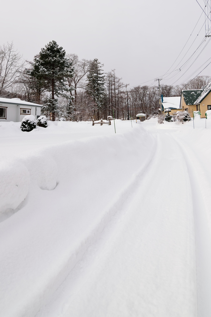 雪が降ったあと。