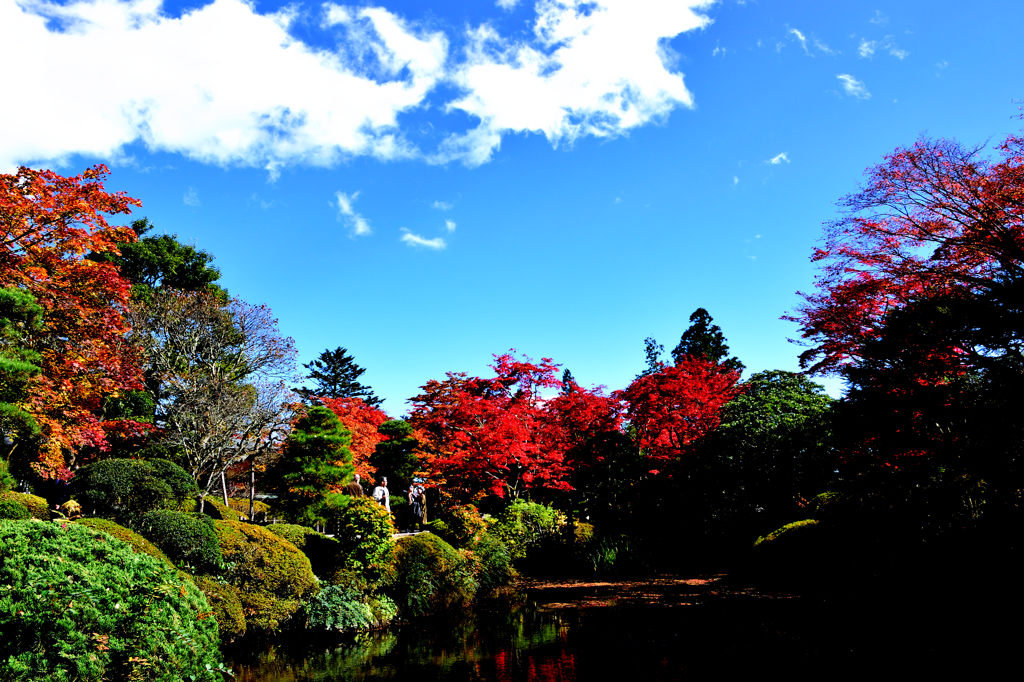 逍遥園の池。