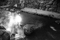 水辺