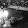 水辺