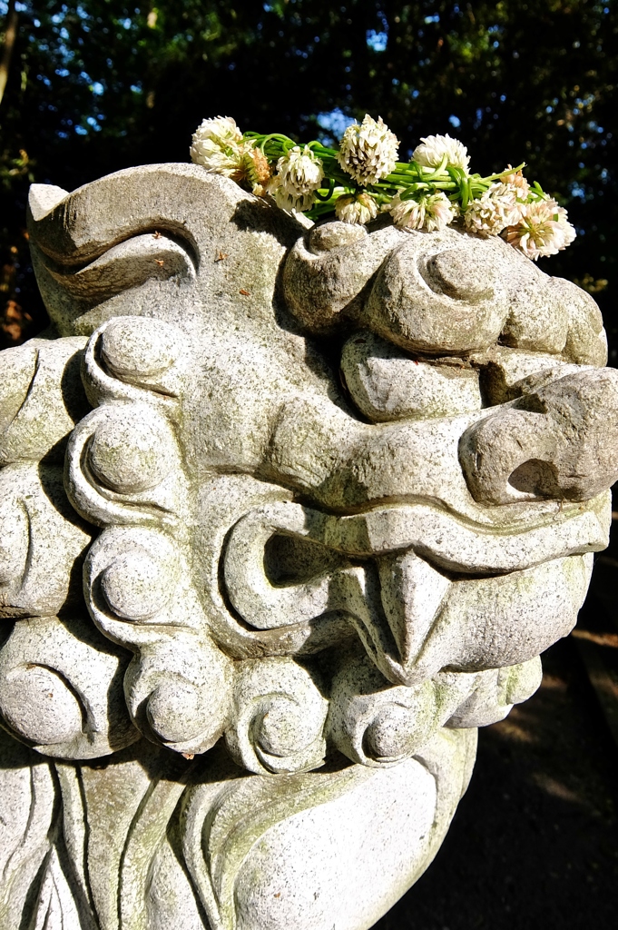 花の冠