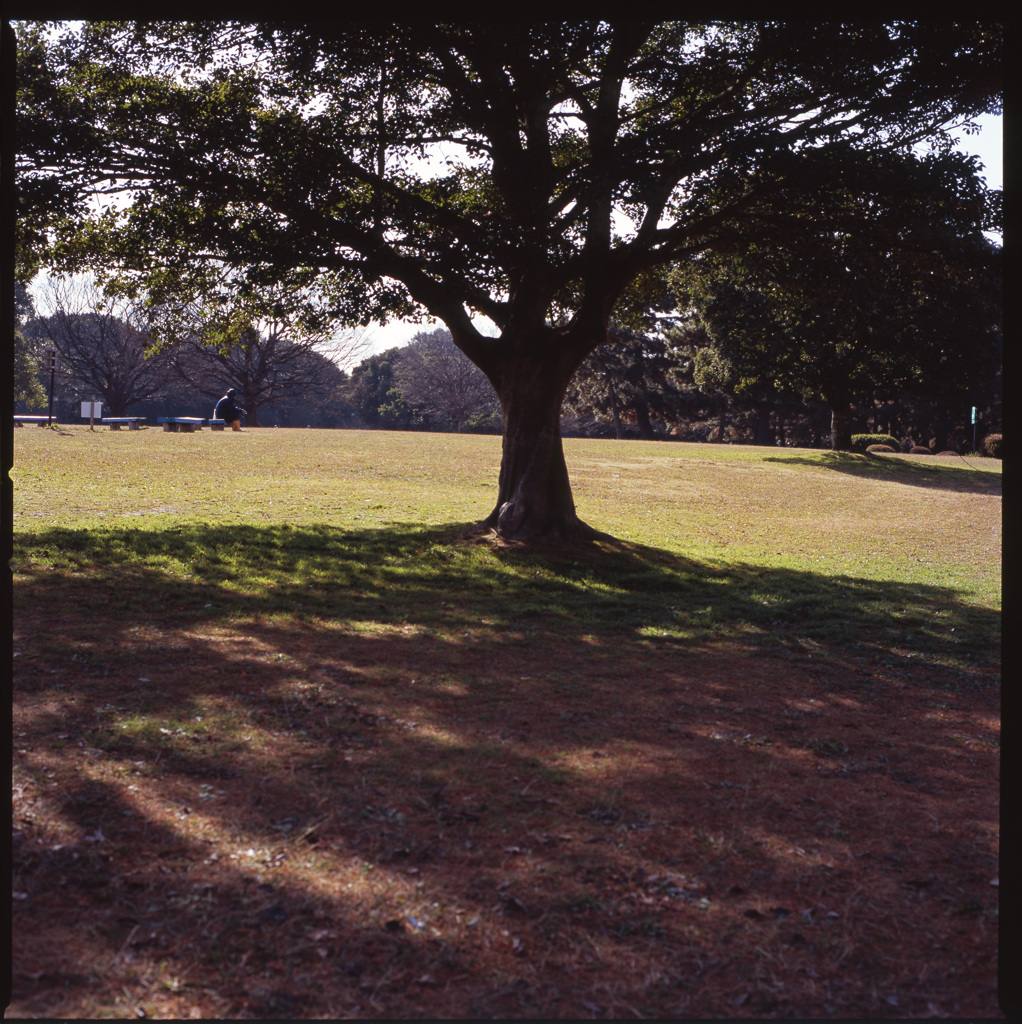 公園