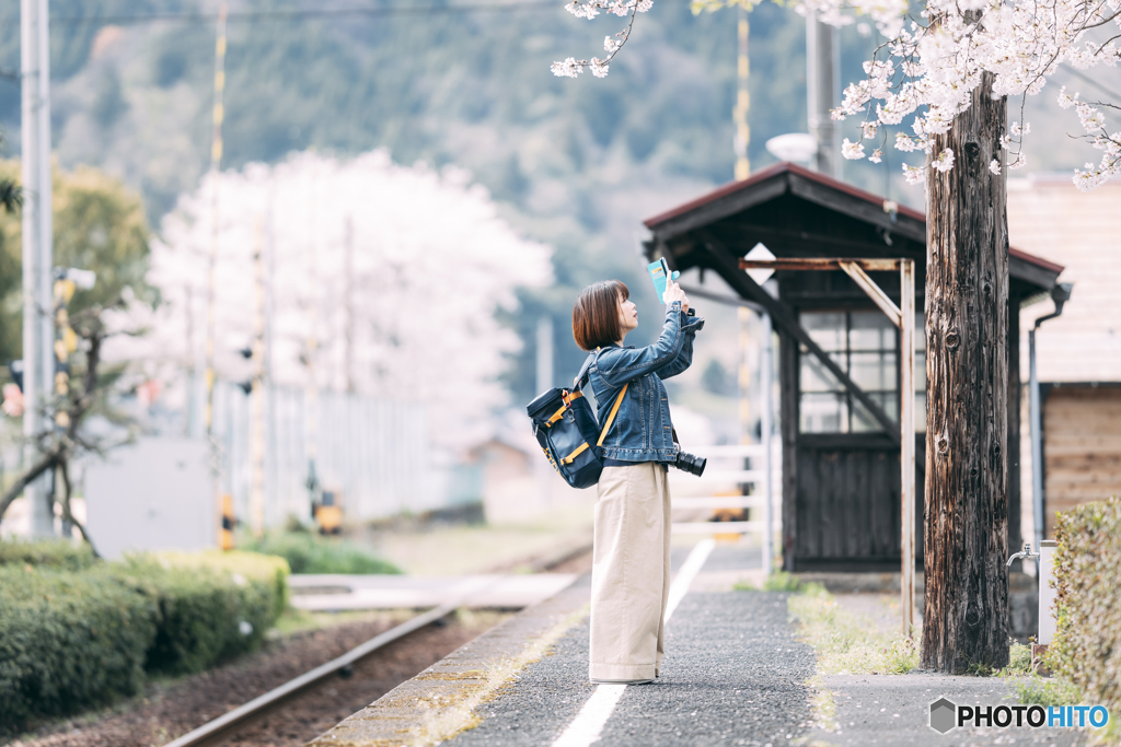 あの日の桜の香り