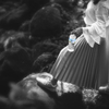 Natural water melodies.