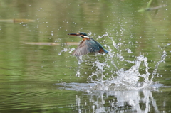 チャレンジは続く。