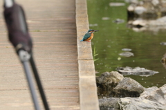 近い、カメラの前(・・;)