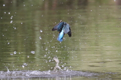 エンジェル ジャンプ