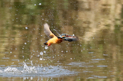 小さいのが好き