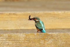 美味しい朝食