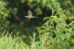 遠くにロックオン