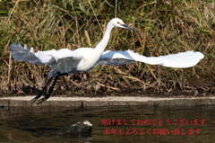 2015-01-01 2015-01-01