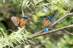 イヤー、ビックリ！