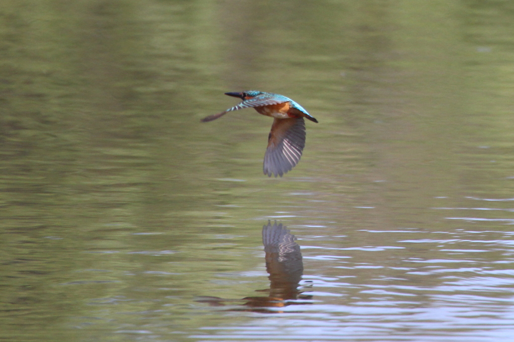 お邪魔しました
