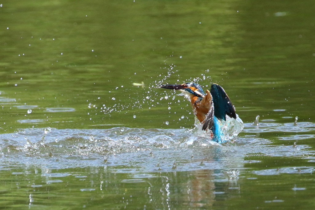 失敗は、次頑張る。