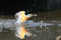 Case1被写体追従特性+１、速度変化に対する追従性を1