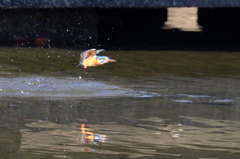 ジャンプするも残念