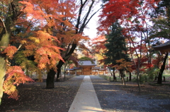 平林寺