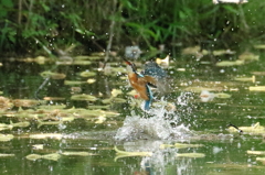 彼女の勇姿もアップ！