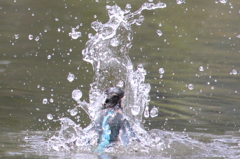 水と共にジャーンプ