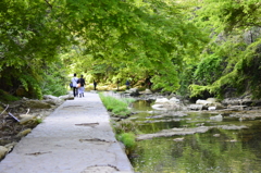 千葉県 養老渓谷