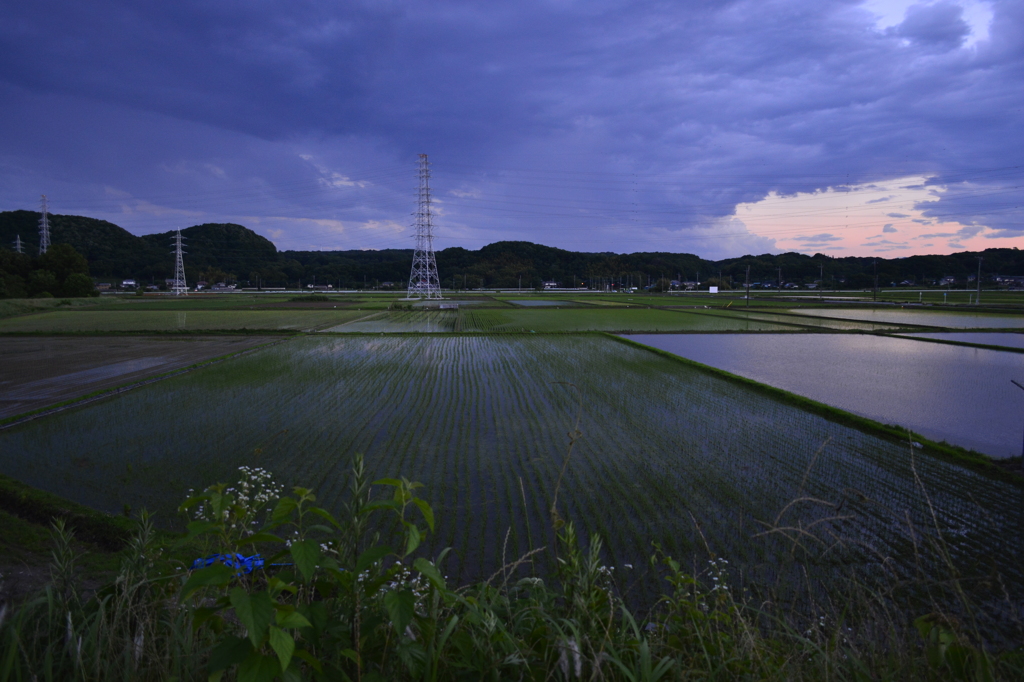 雨さようなら♪