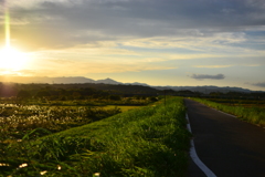 夕方の川沿い