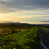 夕方の川沿い