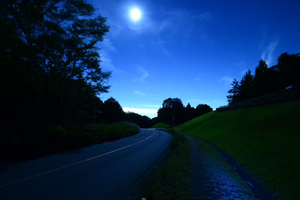 月明かりの道