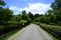 公園の脇道