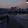 夕方のお台場