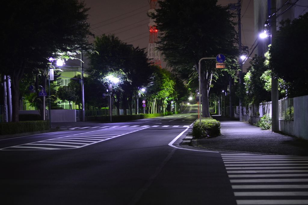 night stage