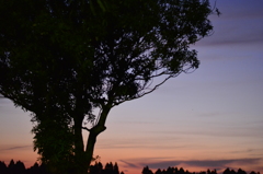 夕方の空