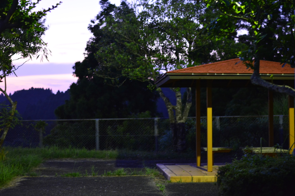 公園2
