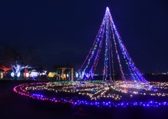 ｲﾝｸﾞﾘｯｼｭｶﾞｰﾃﾞﾝ1