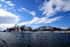 野田沼雪景①