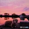 夕焼けワンワン・・・