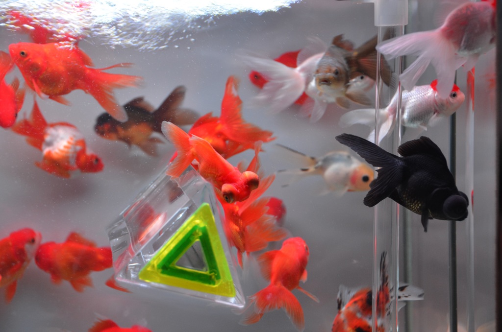 ｱｰﾄｱｸｱﾘｳﾑ９