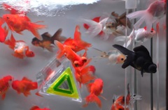 ｱｰﾄｱｸｱﾘｳﾑ９