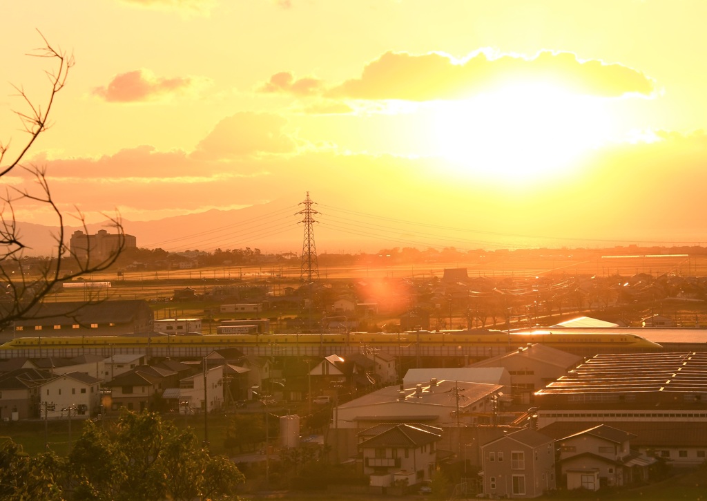 夕陽の中のイエロー