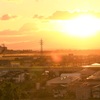 夕陽の中のイエロー