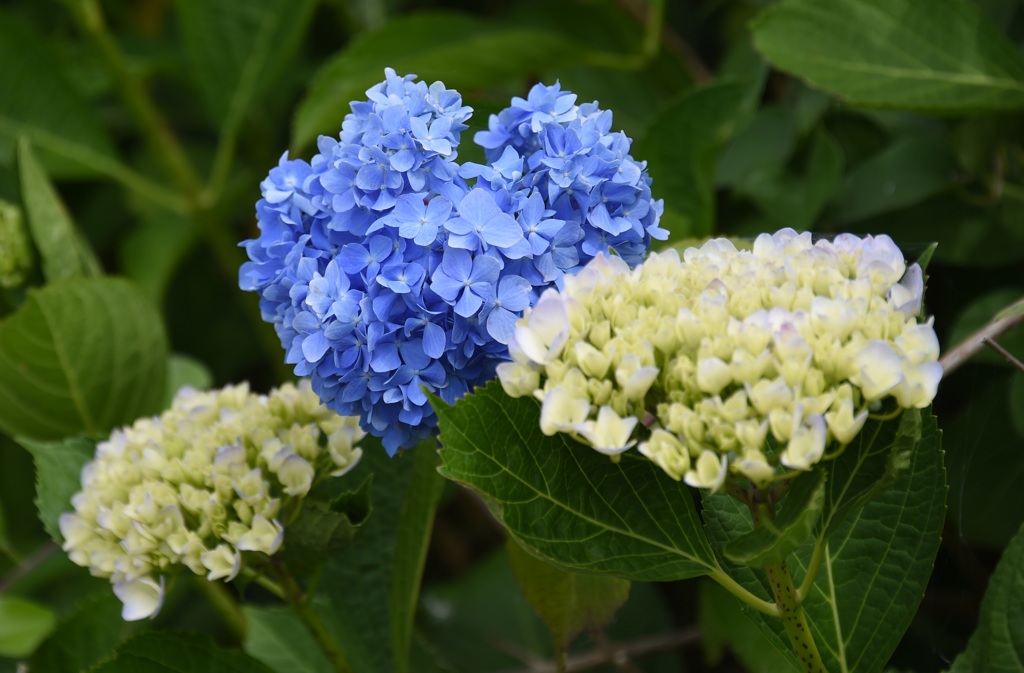 ハートに寄り添って