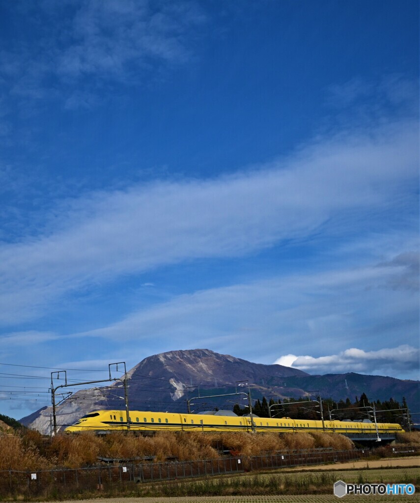 定番のイエロー
