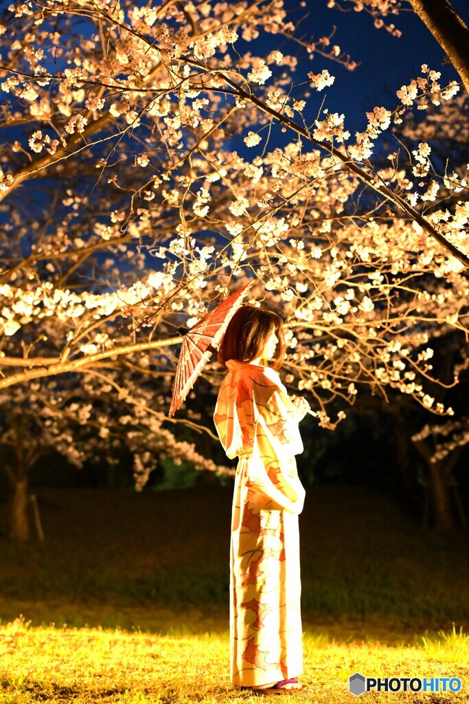 夜桜お七
