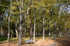 人待ちﾍﾞﾝﾁ