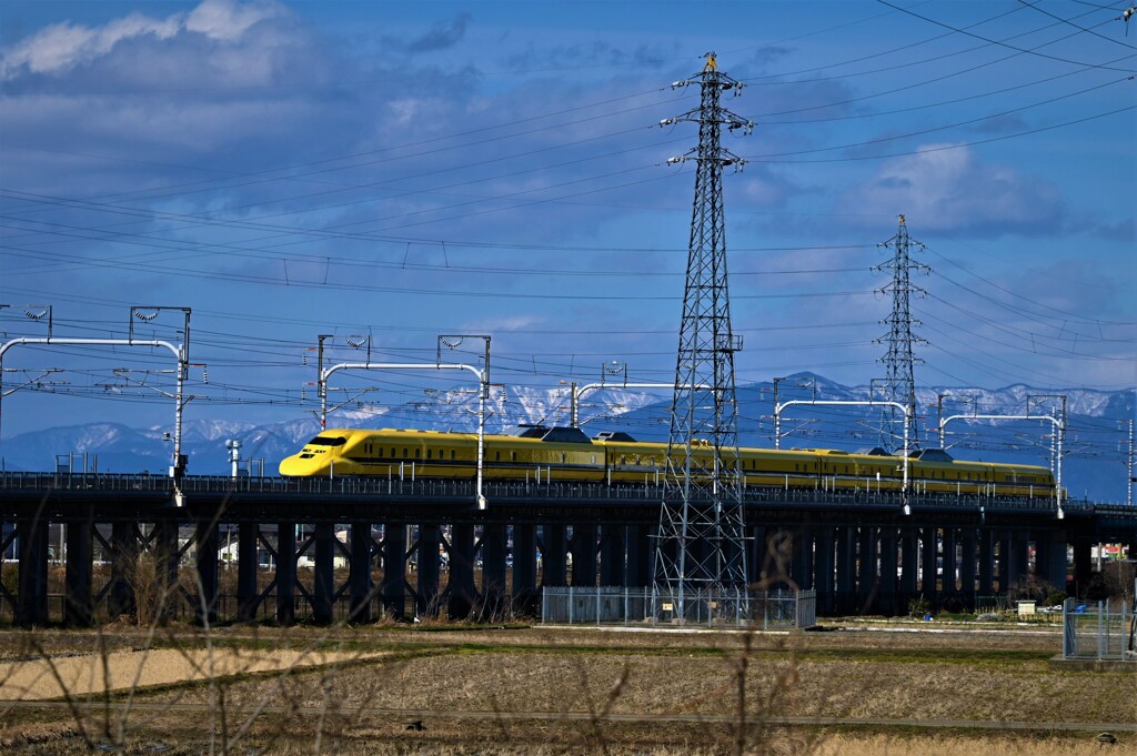 雪山イエロー