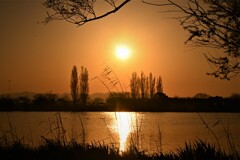 野田沼　夕景